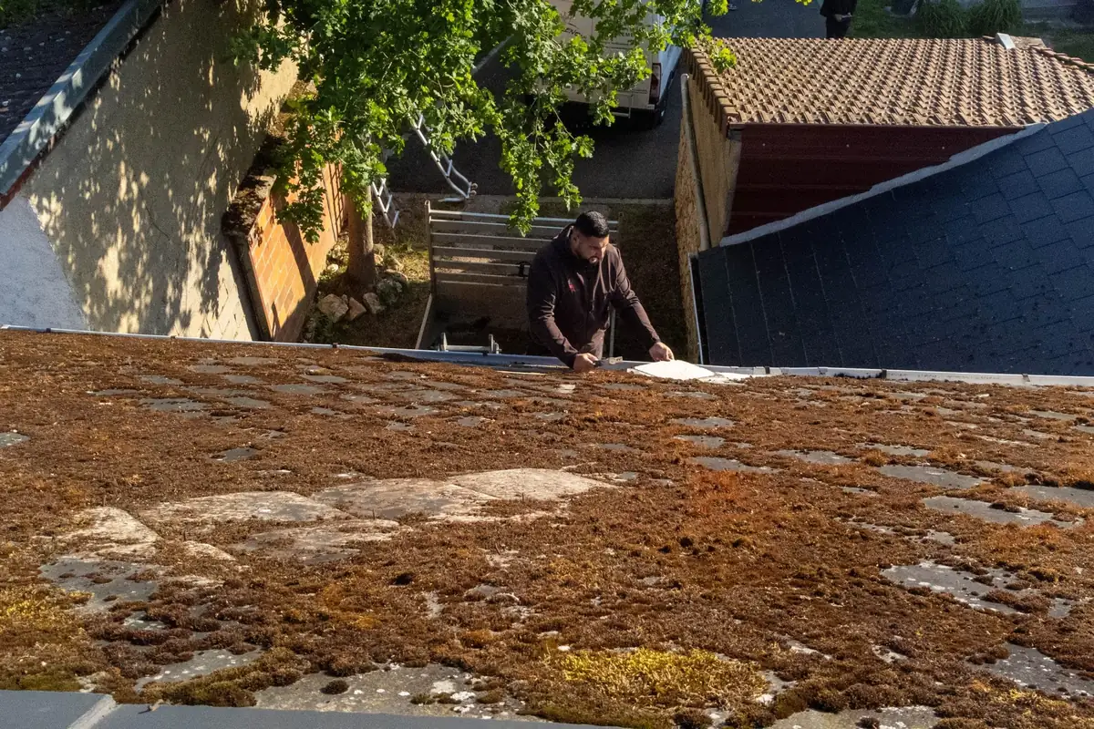 Toiture couverte de mousses et de lichens avant l'intervention de KING RENOV